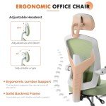 Sweetcrispy Office Computer Desk Chair, Ergonomic High-Back Mesh Rolling Work Swivel Chairs with Wheels, Comfortable Lumbar Support, Comfy Arms for Home, Bedroom, Study, Student, Green