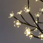 LIGHTSHARE 18 Inch Cherry Blossom Bonsai Tree, 48 LED Lights, 24V UL Listed Adapter Included, Metal Base, Warm White Lights, Ideal as Night Lights, Home Gift Idea