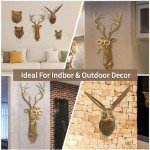 Joogour Head Wall Mount Decor,Resin Animal Sculptures，Art Deco Wall Hanging Decoration for Living Room Bedroom Officeroom Gift (Set of 5)