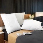 Utopia Bedding Throw Pillows Insert (Pack of 2, White) - 24 x 24 Inches Bed and Couch Pillows - Indoor Decorative Pillow