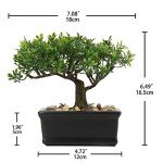 Artificial Bonsai Tree Juniper Faux Plants Indoor Small Fake Plants Decor with Ceramic Pots for Home Table Office Desk Bathroom Shelf Bedroom Living Room Farmhouse Decorations