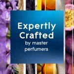 Glade Candle Jar, Air Freshener, Sheer Vanilla Embrace, 3.4 Oz