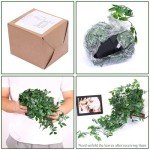 Whonline Fake Hanging Plants, Artificial Small Potted Plants for Indoor Outdoor Aesthetic Office Living Room Shelf Decor (1 Pack)