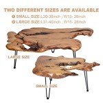 BTEOBFY Natural Wood Edge Contemporary Coffee Cocktail Table, Live Edge Coffee Table,Living Room Coffee Table with Clear Lacquer Finish and Metal Hairpin Legs,Unique Desktop