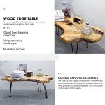 BTEOBFY Natural Wood Edge Contemporary Coffee Cocktail Table, Live Edge Coffee Table,Living Room Coffee Table with Clear Lacquer Finish and Metal Hairpin Legs,Unique Desktop