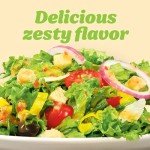 Fat-Free Zesty Italian Salad Dressing, 16 oz
