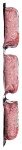 80/20 Ground Beef Value Pack, 48 Ounce