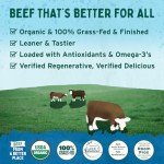 Organic Grass-Fed Beef Burgers - Pack of 4