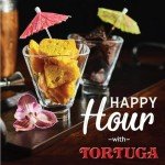 Tortuga Chocolate Rum Cake - 16 oz - 20 Pack