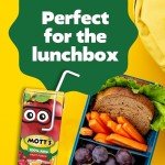 Mott's 100% Fruit Punch Juice Boxes, 32 Count