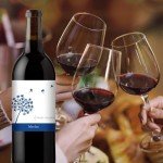 Three Wishes Merlot Red Wine - 750 mL
