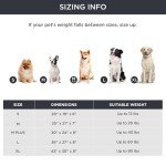 Cozy Orthopedic Dog Bed for Small Dogs