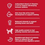 Hill's Science Diet Puppy Food for Small Breeds