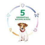 Hill's Science Diet Puppy Chicken & Brown Rice 4.5 lb