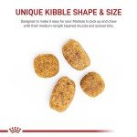 Royal Canin Maltese Adult Dry Dog Food 2.5lb