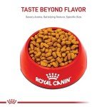 Royal Canin Maltese Adult Dry Dog Food 2.5lb