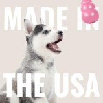 KONG Natural Teething Toy for Maltese Puppies