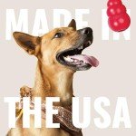 KONG Classic Stuffable Dog Toy for Maltese