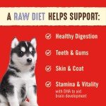 Stella & Chewy's Puppy Raw Dinner Patties – Chicken & Salmon