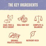 Stella & Chewy's Puppy Raw Dinner Patties – Chicken & Salmon