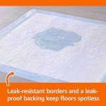 Leak-Proof Quick-Dry Puppy Pee Pads, 100 Count