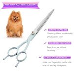 Maltese Dog Grooming Scissors Kit for Home