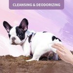 Lavender Plant-Based Dog Wipes for Clean Paws