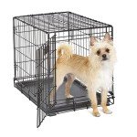 MidWest Single Door iCrate for Maltese Dogs