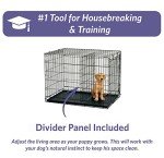 MidWest Single Door iCrate for Maltese Dogs