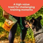 Cheddar Cheese Crunchies for Maltese Dogs