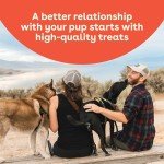 Cheddar Cheese Crunchies for Maltese Dogs