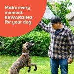 Pupford Crunchies: Chicken & Sweet Potato Dog Treats