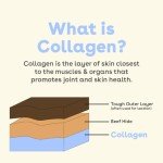 Pupford Collagen Stick Chews for Dogs & Puppies, All Natural, Healthy, Bully Stick and Bone Alternative Treat (6", 10 Pack)