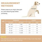 haapaw Dog Harness with Leash Set, No Pull Adjustable Reflective Step-in Puppy Harness with Thickened Padded Vest for Extra-Small/Small Medium Dogs