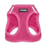 Best Pet Supplies Voyager Step-in Air Dog Harness - All Weather Mesh, Reflective, No Pull Harness for Small, Medium Dogs, Cats - Secure with Hook & Loop Fastener, Buckle, Double D-Rings - Fuchsia, M
