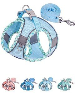 Petank No-Pull Dog Harness for Small & Medium Dogs - Easy Walk Harness for Walking, Running & Training - Set Includes Leash - Light Blue, S