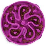Outward Hound Fun Feeder Slo Bowl, Large Slow Feeder Dog Bowl, 4 Cups, Purple