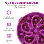 Outward Hound Fun Feeder Slo Bowl, Large Slow Feeder Dog Bowl, 4 Cups, Purple