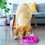 Outward Hound Fun Feeder Slo Bowl, Large Slow Feeder Dog Bowl, 4 Cups, Purple
