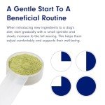 PetLab Co. ProBright Dental Powder - Dog Breath Freshener - Teeth Cleaning Made Easy – Targets Tartar & Bad Breath - Formulated for Small Dogs