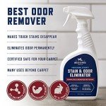Rocco & Roxie Stain & Odor Eliminator for Strong Odor, 32oz Enzyme Pet Odor Eliminator for Home, Carpet Stain Remover for Cats & Dog Pee, Enzymatic Cat Urine Destroyer, Carpet Cleaner Spray