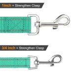 Joytale Double-Sided Reflective Dog Leash, 6 FT/5 FT/4 FT, Padded Handle Nylon Heavy Duty Leashes for Medium & Large Dogs Walking, Teal, 4FT