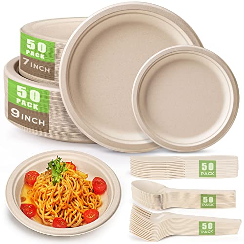250Pcs Biodegradable Dinnerware Set for Birthday Parties or Camping