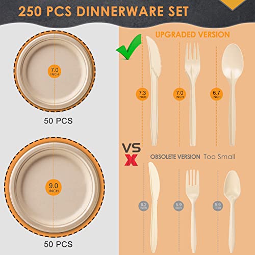 250Pcs Biodegradable Dinnerware Set for Birthday Parties or Camping