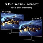 24-inch 100Hz IPS 1080P Monitor with HDR