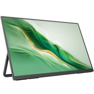 23.8" 1080P 120Hz Portable Gaming Monitor