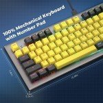 PowerLead MK19 RGB Backlit Mechanical Gaming Keyboard