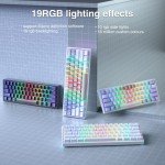 SK961 Wireless 60% Mechanical Keyboard with RGB