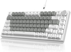AJAZZ AK820 RGB Hot Swappable Mechanical Keyboard