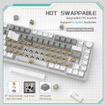 AJAZZ AK820 RGB Hot Swappable Mechanical Keyboard